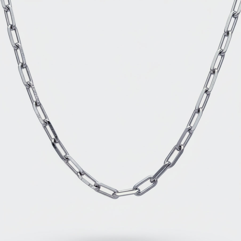 Rex Silver Chain